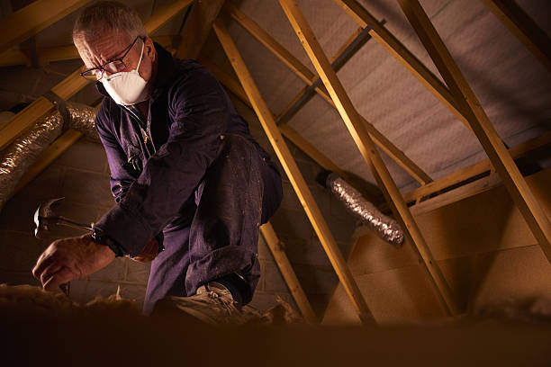 Best Specialty Insulation in Monette, AR